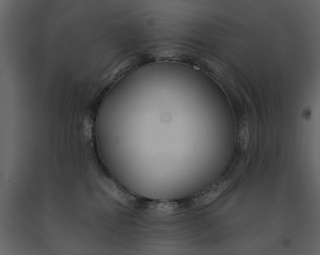 X0000091080282200708271242