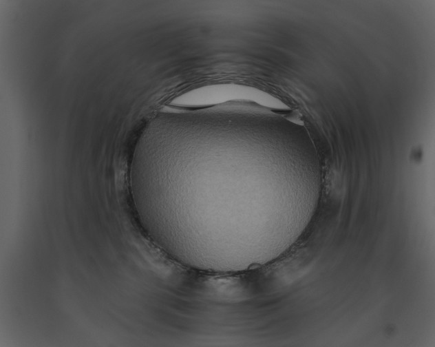 X0000091080283200708271242