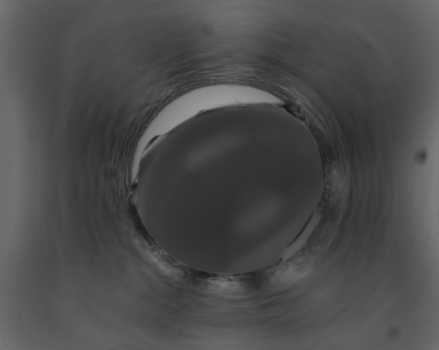 X0000091080284200708271242