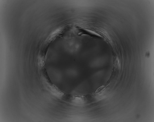 X0000091080285200708271242