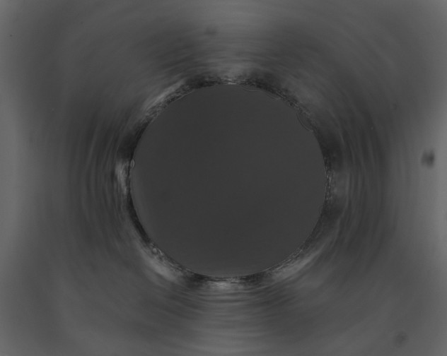 X0000091080286200708271242