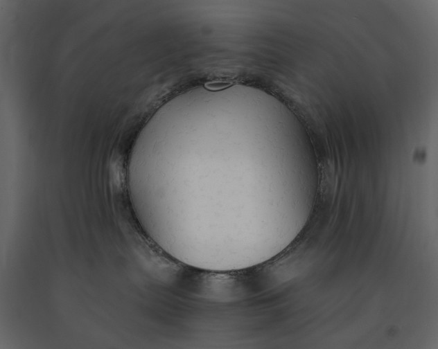 X0000091080287200708271242