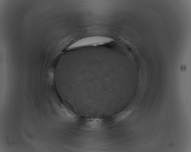 X0000091080288200708271242