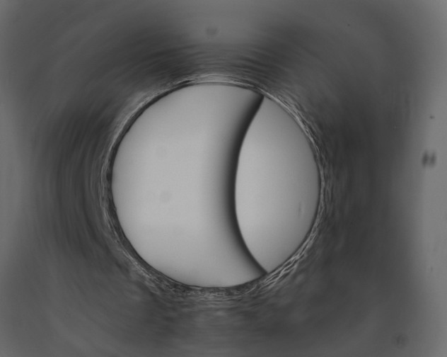 X0000091080289200708271241