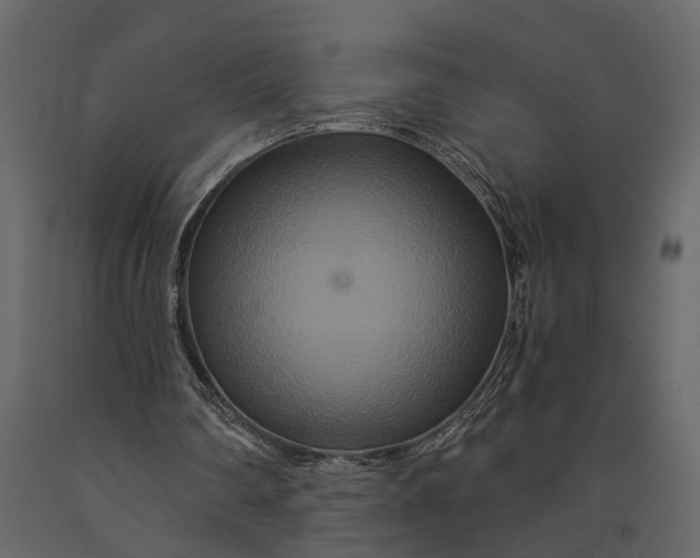 X0000091080290200708271241