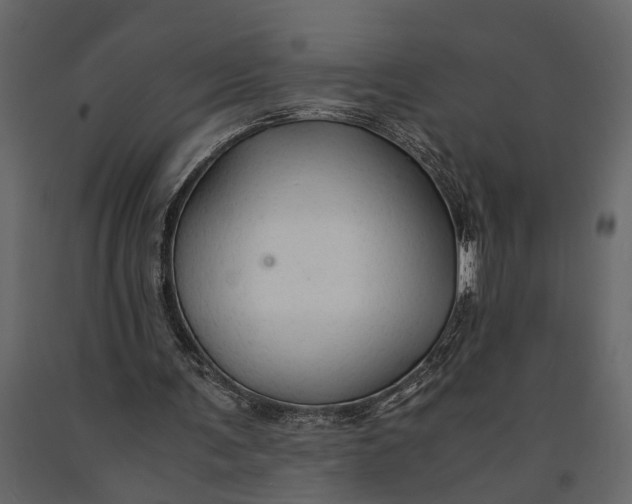 X0000091080291200708271241