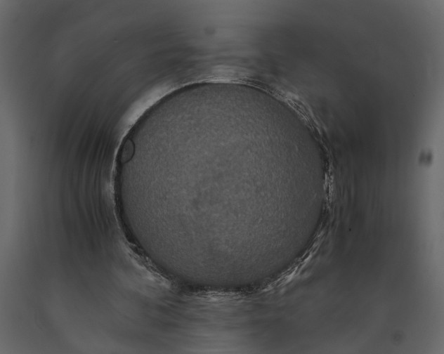 X0000091080292200708271241