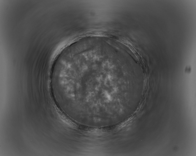 X0000091080293200708271241