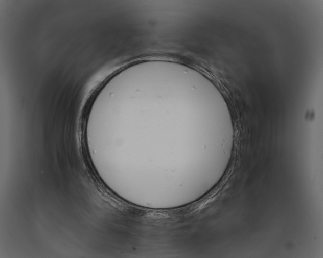 X0000091080294200708271241