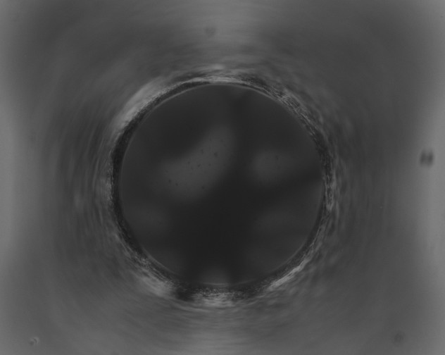 X0000091080295200708271241