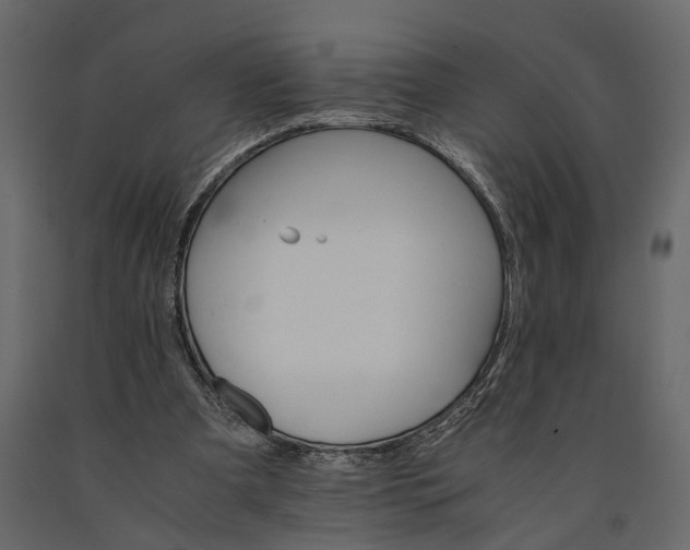 X0000091080297200708271241