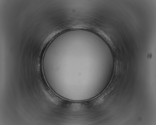 X0000091080298200708271241