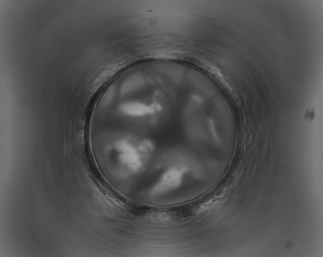 X0000091080299200708271241