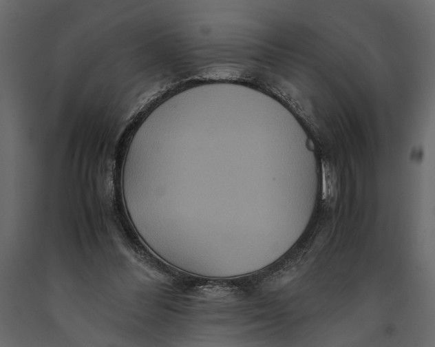 X0000091080300200708271241