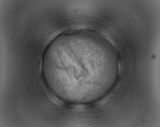 X0000091080301200708271241