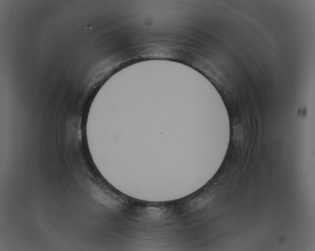 X0000091080302200708271241