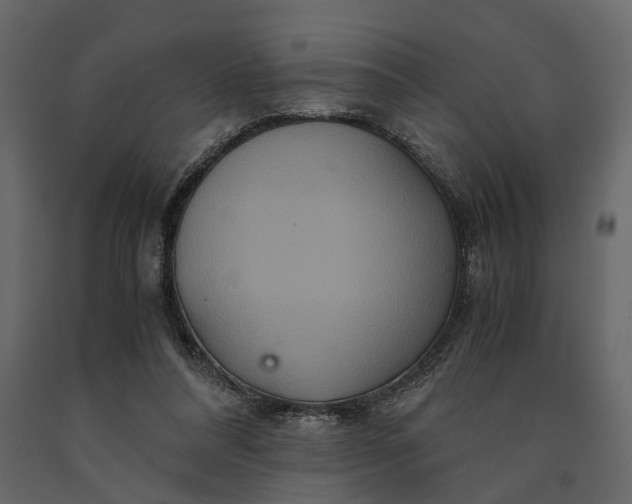 X0000091080304200708271241