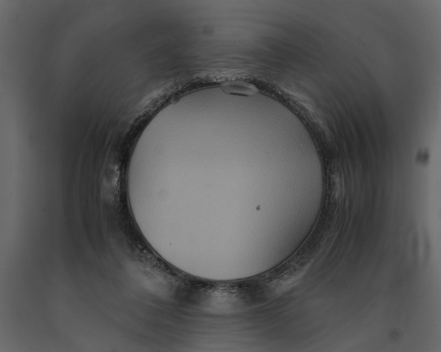 X0000091080308200708271241