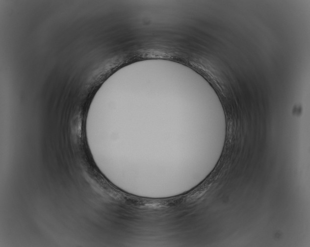 X0000091080310200708271241