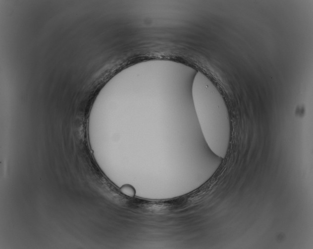 X0000091080313200708271241