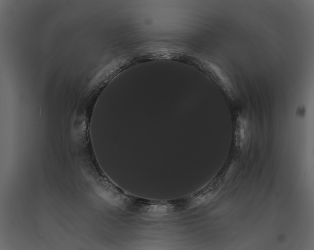 X0000091080314200708271241