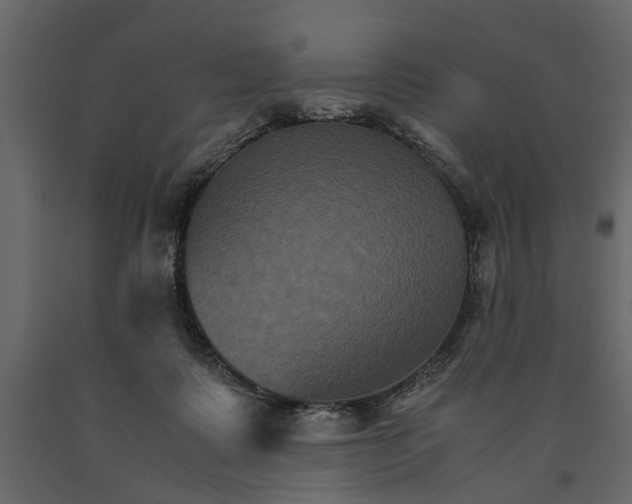 X0000091080315200708271241