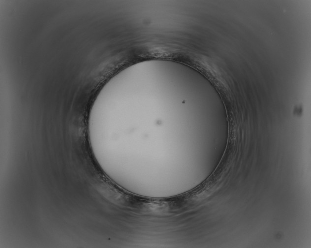 X0000091080317200708271241