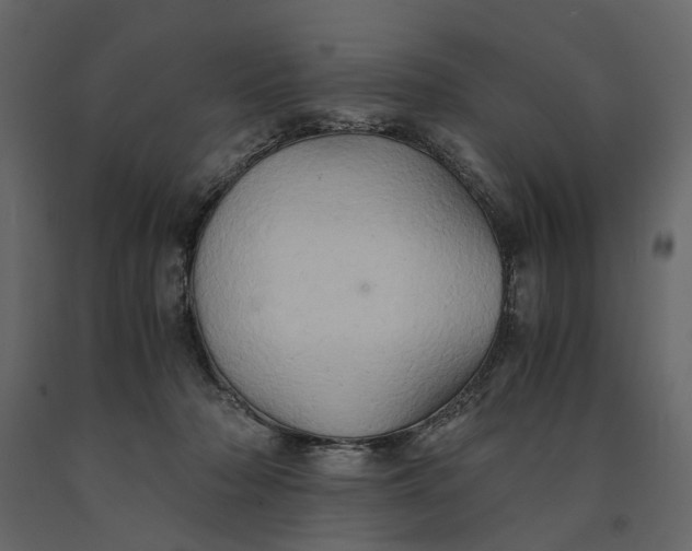 X0000091080318200708271241