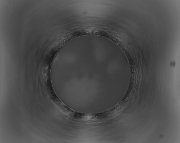 X0000091080319200708271241