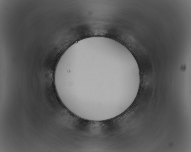 X0000091080321200708271241