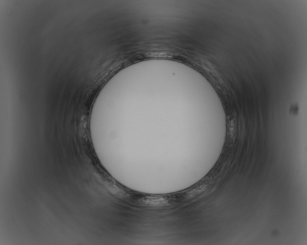 X0000091080322200708271241