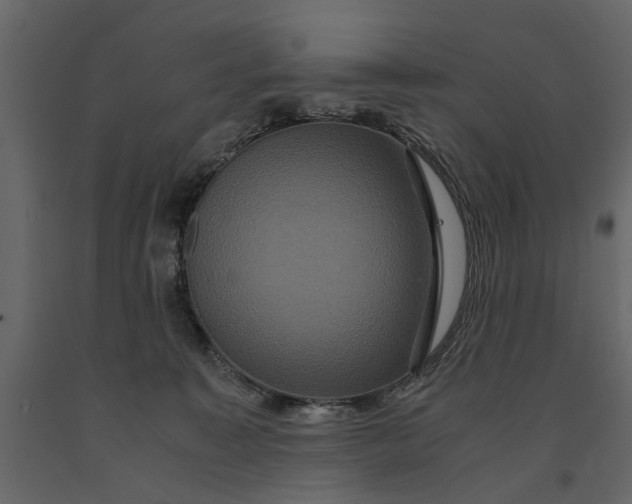 X0000091080323200708271241