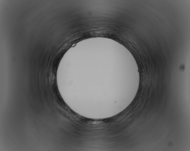 X0000091080324200708271241