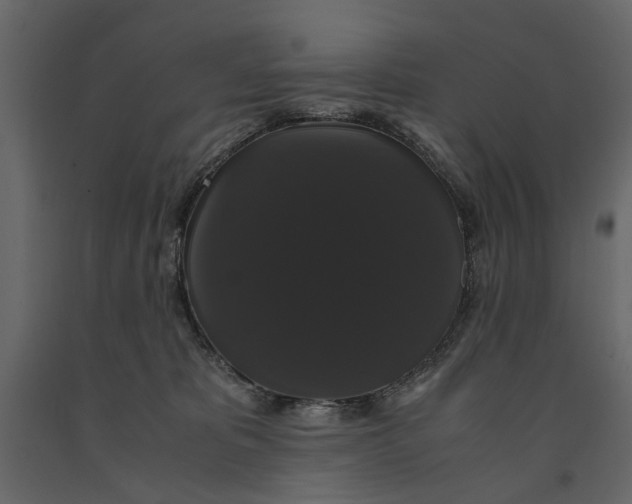 X0000091080325200708271241