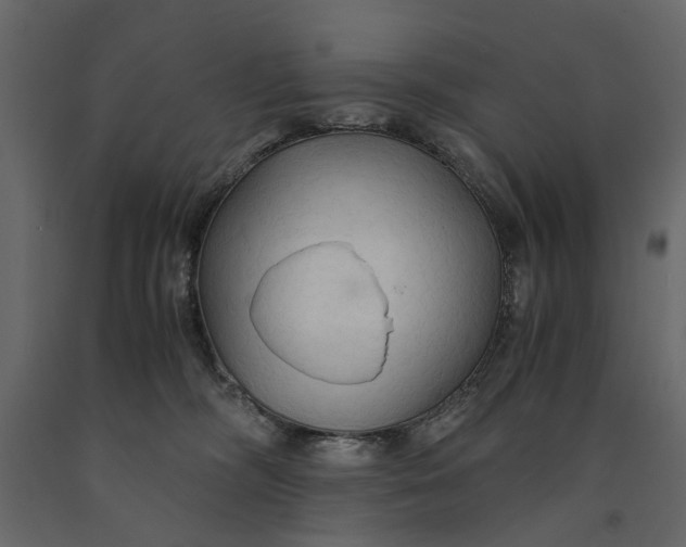 X0000091080326200708271241