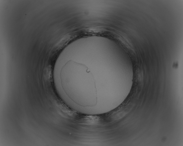 X0000091080328200708271241