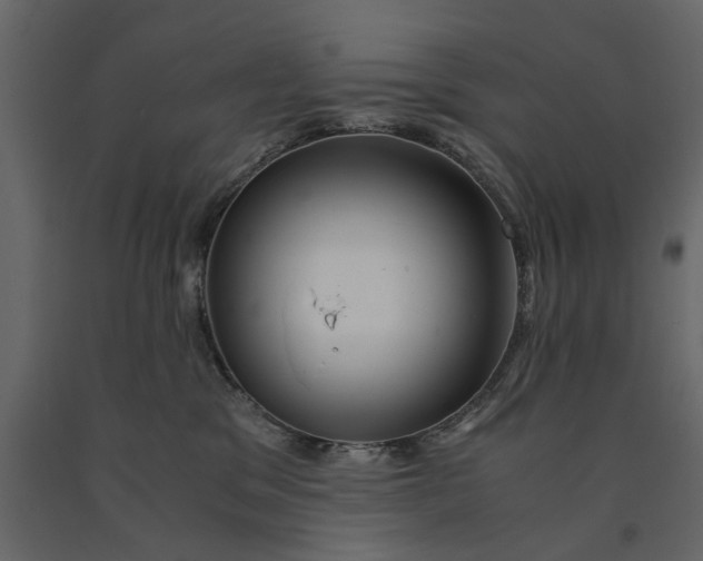 X0000091080329200708271241