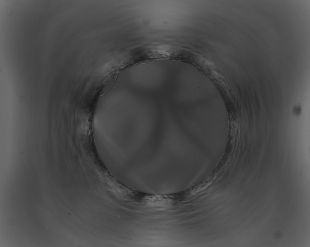 X0000091080331200708271241