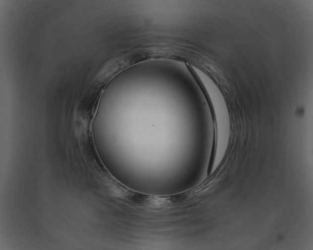 X0000091080333200708271241