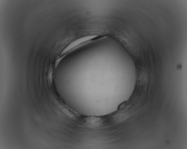 X0000091080334200708271241