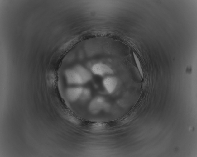 X0000091080335200708271241