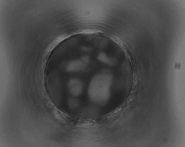 X0000091080337200708271240