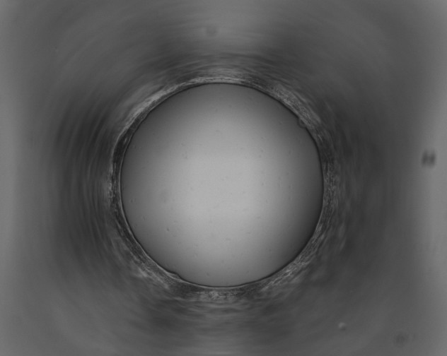 X0000091080338200708271240