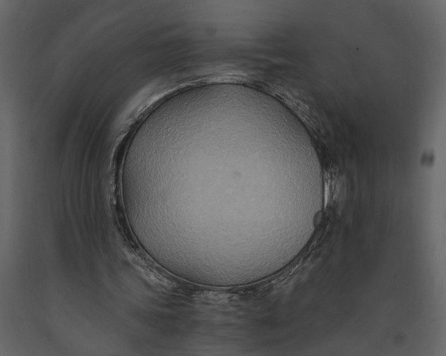 X0000091080339200708271240