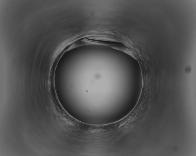 X0000091080340200708271240