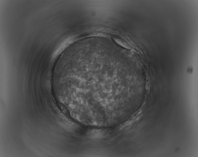 X0000091080341200708271240