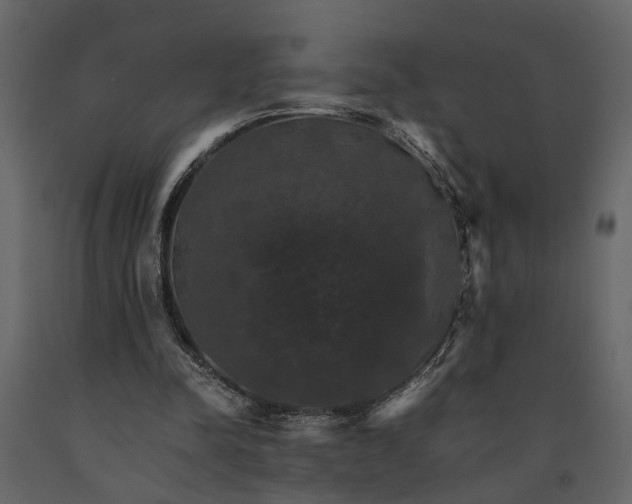 X0000091080342200708271240