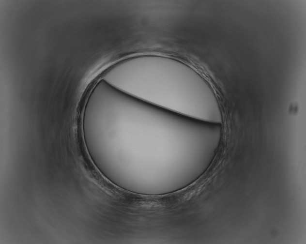 X0000091080344200708271240