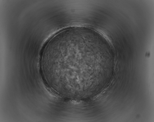 X0000091080346200708271240