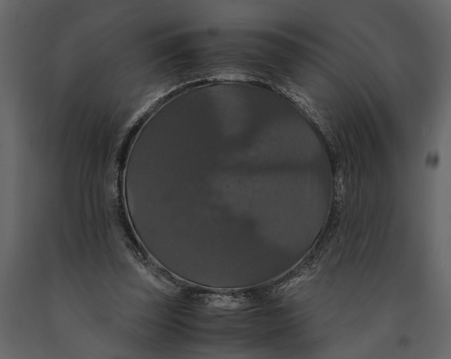 X0000091080347200708271240